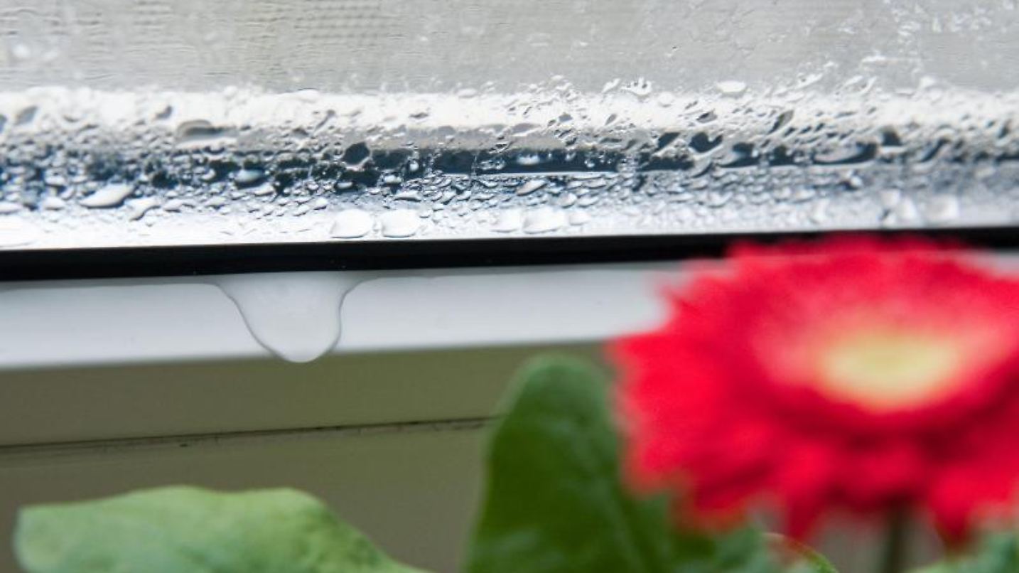 wetter großarl 14 tage bergfex