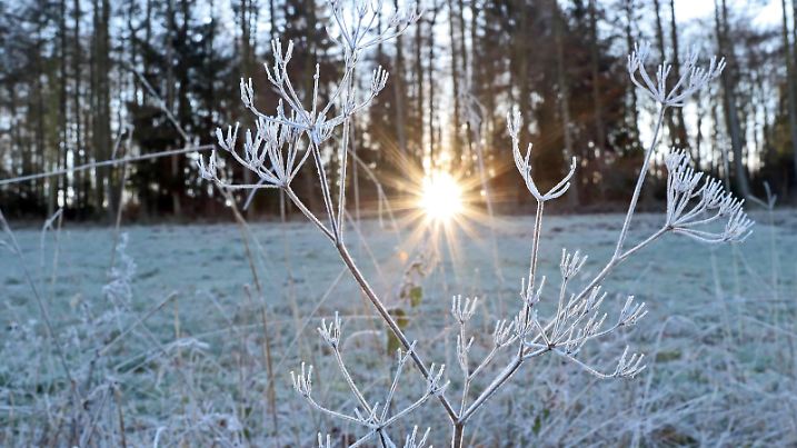 Ein kalter Wintermorgen in Siegen-Oberschelden, Frost hat sich auf die Baeume und Wiesen gelegt, die Morgensonne scheint durch die Baeume Winter im Siegerland am 28.12.2018 in Siegen/Deutschland. *** A cold winter morning in Siegen Oberschelden Frost has fallen on the trees and meadows the morning sun shines through the trees Winter in Siegerland on 28 12 2018 in Siegen Germany  