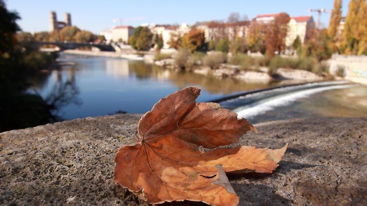  goldener Oktober in München, Bayern, Deutschland:: herbstliches Ahornblatt liegt auf einer Brücke über den Fluss Isar. *** golden October in Munich, Bavaria, Germany autumn maple leaf lies on a bridge over the river Isar