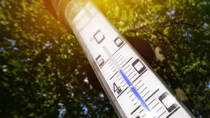Thermometer im Garten zeigt 45Â°C in der Sonne, Jahrhundertsommer 2018 *** Thermometer in the garden shows 45Â ° C in the sun of the summer of summer 2018  