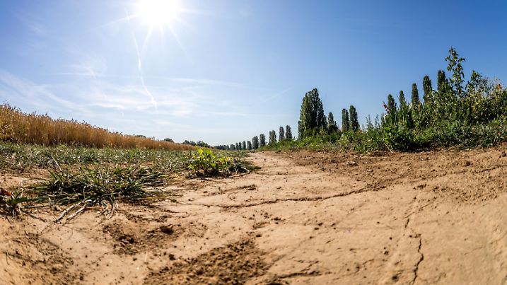 Hitzewelle und Trockenheit in Deutschland 24.07.2019, Oberursel (Hessen): Die Sonne scheint über ausgetrockenetem Ackerbogen. Bei der aktuellen Hitzewelle in Deutschland sind Höchsttemperaturen von 40°C vorhergesagt., Oberursel Deutschland *** Heatwave and drought in Germany 24 07 2019, Oberursel Hessen The sun shines over a dried-out field arc The current heatwave in Germany predicts maximum temperatures of 40°C , Oberursel Deutschland  