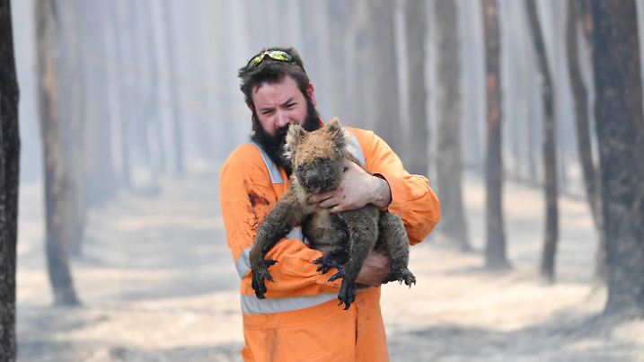 KANGAROO ISLAND BUSHFIRES, Adelaide wildlife rescuer Simon Adamczyk is seen with koala rescued at a burning forest near near Cape Borda on Kangaroo Island, southwest of Adelaide, Tuesday, January 7, 2020. A convoy of Army vehicles, transporting up to 100 Army Reservists and self-sustainment supplies, have arrived on Kangaroo Island as part of Operation Bushfire Assist at the request of the South Australian Government. ACHTUNG: NUR REDAKTIONELLE NUTZUNG, KEINE ARCHIVIERUNG UND KEINE BUCHNUTZUNG ADELAIDE SA AUSTRALIA PUBLICATIONxINxGERxSUIxAUTxONLY Copyright: xDAVIDxMARIUZx 20200107001440807357