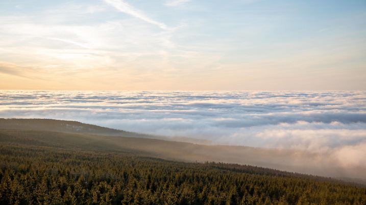 Oberharz über dem Nebel 24.01.2020, Torfhaus Niedersachsen: Die Hochlagen des Oberharzes ragen kurz vor Sonnenuntergang aus einer Hochnebeldecke heraus., Torfhaus Deutschland *** Oberharz above the fog 24 01 2020, Torfhaus Niedersachsen The high altitudes of the Oberharz rise out of a blanket of high fog shortly before sunset, Torfhaus Deutschland