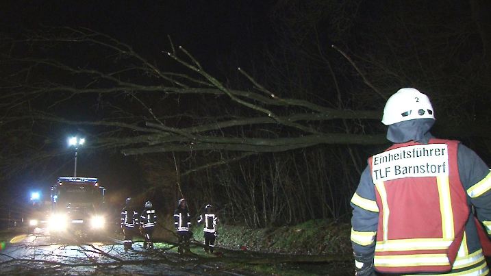 17.02.2020, Niedersachsen, Barnstorf: Die Feuerwehr von Barnstorf räumt die Überreste eines umgestürzten Baums von der Straße. Ausläufer des Orkantiefs «Victoria» haben am Sonntag in Niedersachsen zu zahlreichen Feuerwehreinsätzen geführt. Foto: -/Nord-West-Media TV/dpa +++ dpa-Bildfunk +++
