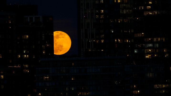 NY: Full Super Moon Full super moon rises above Manhattan skyline. New York New York United States Copyright: LevxRadin