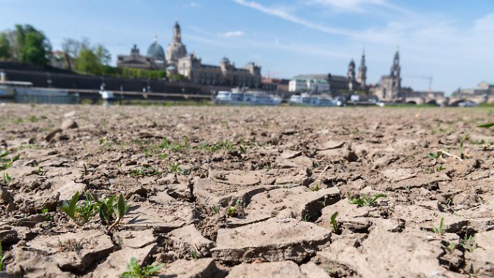 ARCHIV - 28.04.2020, Sachsen, Dresden: Ausgetrocknet durch viel Sonne und wenig Regen ist das Elbufer vor der historischen Altstadtkulisse mit der Kuppel der Kunstakademie (l-r), der Frauenkirche, dem Ständehaus, dem Hausmannsturm, der Hofkirche und der Semperoper. (Zu dpa "Copernicus: April stellt global gesehen Temperaturrekord ein") Foto: Robert Michael/dpa-Zentralbild/dpa +++ dpa-Bildfunk +++