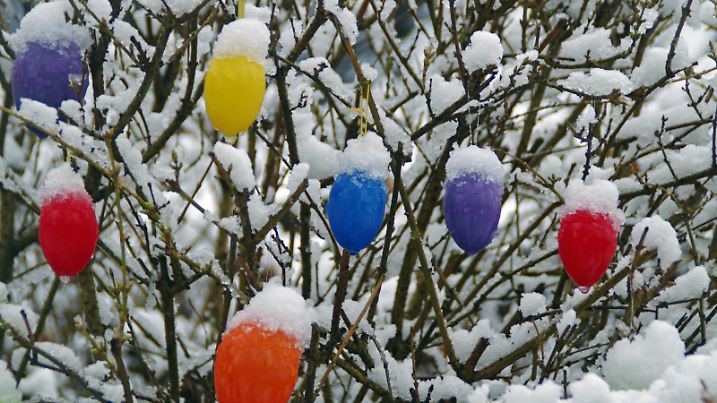 Bilder des Tages Wintereinbruch wenige Tage vor Ostern in Hamburg: Schneebedeckte Plastik-Ostereier hängen an einer Hecke. *** Winter comes a few days before Easter in Hamburg Snow-covered plastic Easter eggs hang on a hedge
