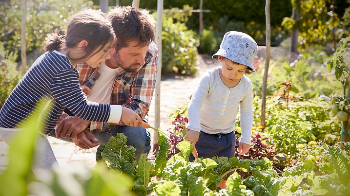 Kleingärten liegen im Trend