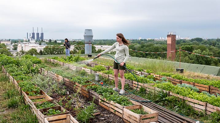 Young woman, waters herbs and plants on a urban roof garden