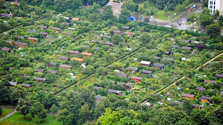 garden plots view from above