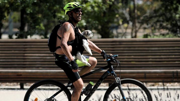 dpatopbilder - 29.07.2020, Spanien, Madrid: Ein Mann fährt mit seinem Hund auf einem Fahrrad durch einen Park in Madrid. Am Donnerstag wird auf der Iberischen Halbinsel und den Balearen eine Hitzewelle eintreffen, die bis mindestens Samstag in weiten Teilen Spaniens Temperaturen von 40 Grad hinterlassen wird. Foto: Eduardo Parra/EUROPA PRESS/dpa +++ dpa-Bildfunk +++