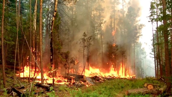 HANDOUT - 16.07.2020, Russland, Jakutsk: Das Videostandbild zeigt einen Waldbrand in der Republik Sacha (bestmögliche Qualität). Begleitet von ungewöhnlich hohen Temperaturen breiten sich Waldbrände in weiter aus. Für die gesamte Teilrepublik Jakutsk gilt der Ausnahmezustand. Foto: Uncredited/RU-RTR Russian Television/AP/dpa +++ dpa-Bildfunk +++