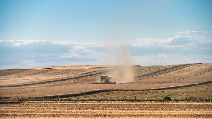  TROCKENHEIT BEI ERNTE AUF FELDERN IN THÜRINGEN 13/07/2020 - Dermsdorf: Bauern ernten ihre Felder in der Nähe von Dermsdorf Thüringen am 13. Juli 2020 ab. / _________________ *** DRY FARM HARVEST IN THURINGS 13 07 2020 Dermsdorf farmers harvest their fields near Dermsdorf Thuringia on 13 July 2020