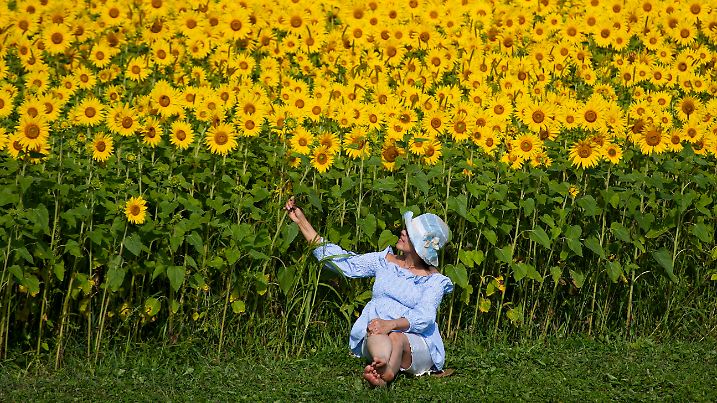 16.08.2020, Kanada, Ottawa: Eine Besucherin kniet vor einem Sonnenblumenfeld auf dem Gelände der Central Experimental Farm. Die Farm gehört zu einem Forschungsinstitut für Landwirtschaft und Nahrungsmittel. Foto: Justin Tang/The Canadian Press/AP/dpa +++ dpa-Bildfunk +++