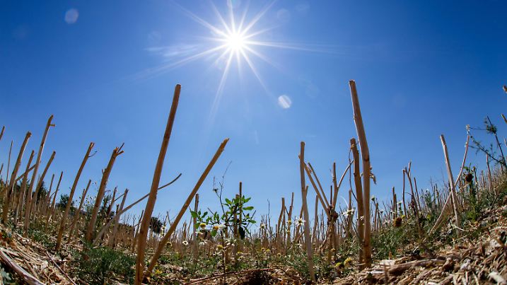 Hitzewelle in Deutschland Die Sonne scheint am 06.08.2018 über einem Feld bei Bad Homburg., Bad Homburg Deutschland *** Heatwave in Germany The sun shines on 06.08.2018 over a field at Bad Homburg Bad Homburg Germany