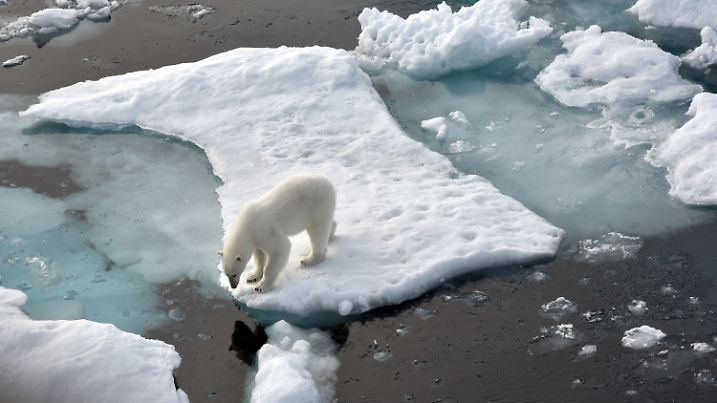 ARCHIV - 14.08.2015, ---, Nordpolarmeer: Ein Eisbär steht im Nordpolarmeer auf eine Eisscholle. Das Meereis in der Arktis ist auf die zweitniedrigste Ausdehnung seit Beginn der Messungen vor rund 40 Jahren geschrumpft. Mit 3,74 Millionen Quadratkilometern sei in der vergangenen Woche wahrscheinlich das Minimum für dieses Jahr erreicht worden, teilte das Nationale Schnee- und Eisdatenzentrum (NSIDC) der USA in Boulder im Bundesstaat Colorado am Montag (21.09.2020) mit. Foto: Ulf Mauder/dpa +++ dpa-Bildfunk +++