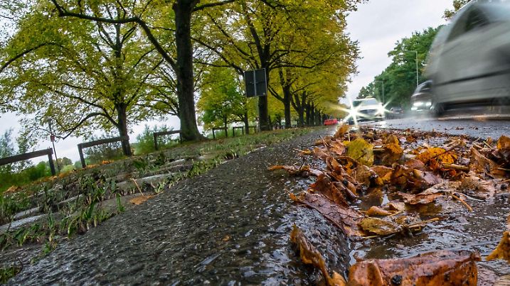 Regennasses Laub liegt am 02.10.2017 an einem Straßenrand in Hannover (Niedersachsen). Foto: Peter Steffen/dpa +++(c) dpa - Bildfunk+++