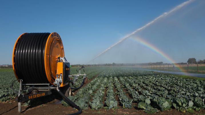Die Felder werden wegen der Trockheit bewässert, Bornheim, NRW, Deutschland Landwirte müssen Äcker bewässern *** The fields are irrigated because of the dryness, Bornheim, NRW, Germany Farmers have to irrigate fields