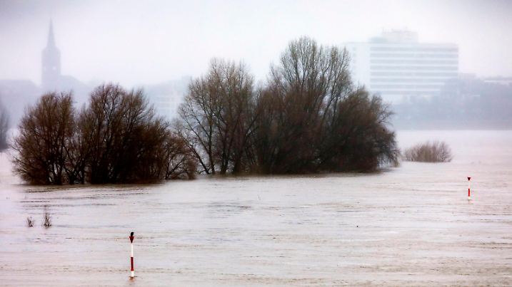 Hochwasser am Rhein in Düsseldorf *** High water on the Rhine in Düsseldorf
