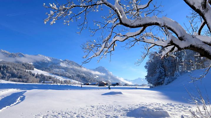17.01.2021, Winter im Allgäu, Bayern, Märchenhafte Stimmung nach der durchschneiten Nacht. Verschneite Landschaft mit Langlaufloipe bei Sonthofen. 17.01.2021, Winter im Allgäu 17.01.2021, Winter im Allgäu *** 17 01 2021, Winter in the Allgäu, Bavaria, Fairytale atmosphere after the snowy night Snowy landscape with cross-country ski trail near Sonthofen 17 01 2021, Winter in the Allgäu 17 01 2021, Winter in the Allgäu