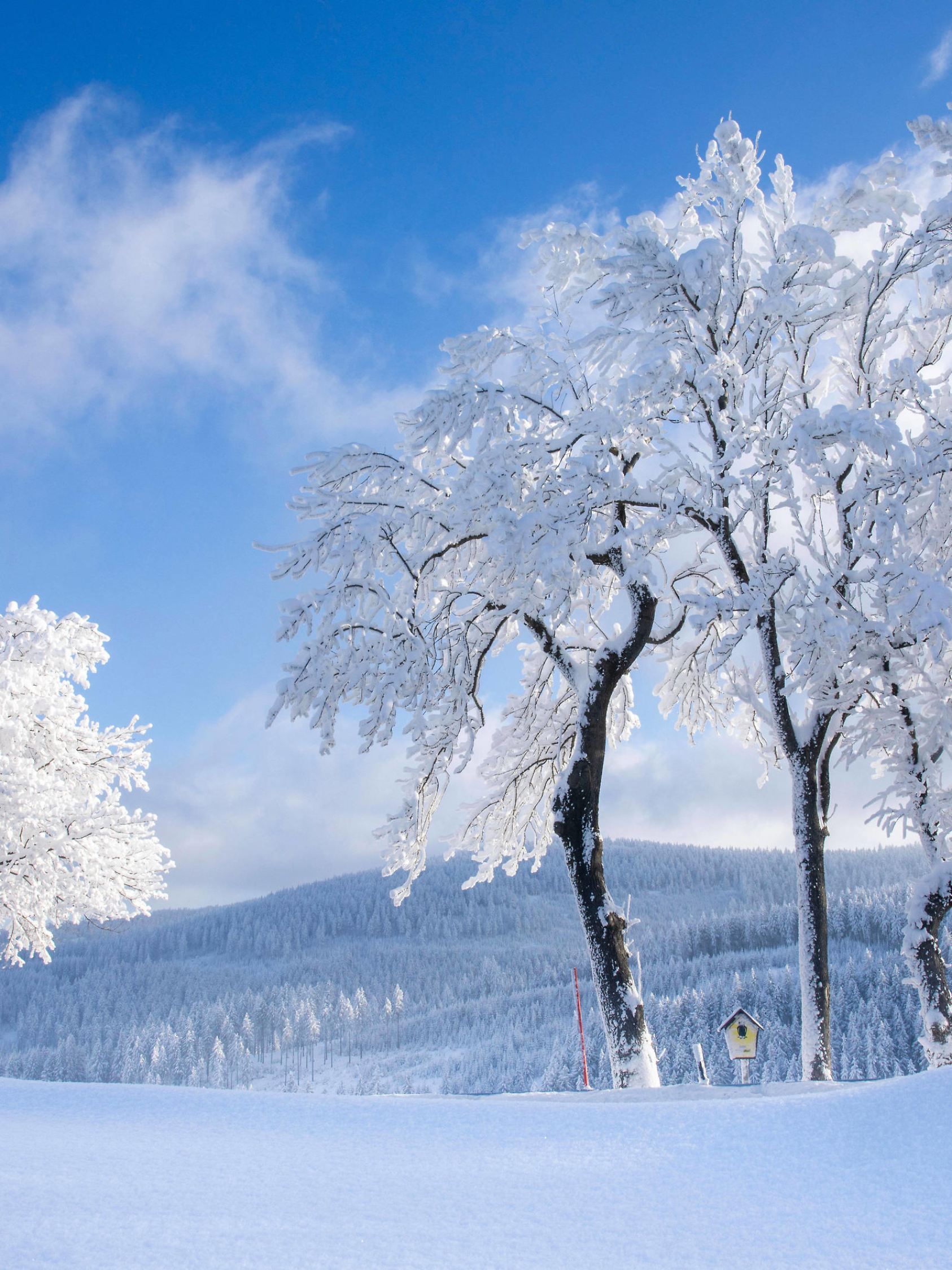 220212 Winter. Was für ein Wintermärchen nach einer chaotischen Wetterwoche in Deutschland. Anfang der Woche gab es erst ein Schneechaos, bis heute hatte man mit den Folgen der intensiven Schneefälle noch zu kämpfen. Danach folgte die eisige Kälte mit all seinen Facetten und nun steht ein tiefwinterlich, kaiserliches Winterwochenende bevor. Dabei wird es heute Nacht noch einmal richtig kalt. Tiefstwerte von unter 20 C sind möglich. Dafür werden wir Samstag und Sonntag von Kaiserwetter verwöhnt. Den Anfang machte am Freitag das Erzgebirge. Auf dem Fichtelberg gab es tiefverschneites und eisiges Winterwetter. Bei 15 C gab es sogar Polarschnee. Die Landschaft ist auf dem Fichtelberg mit meterhohem Schnee bedeckt. Auch einig 
