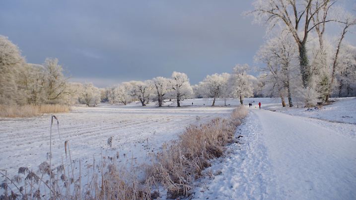 Spaziergänger im Jenischpark in Hamburg vor einer winterlichen Kulisse nach Minustemperaturen in der Nacht. *** Strollers in the Jenischpark in Hamburg in front of a wintry scenery after minus temperatures at night