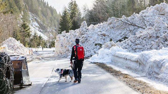 Kals 23.02.2021, Kals, AUT, AUT, Lawine verlegt Kalser Landesstrasse L026. Wie bereits am Montag 2. Februar 2021 wurde die Kalser Landesstrasse am Nachmitag gegen 14:30 Uhr neuerlich durch eine Nassschneelawine im Ortsteil Haslach verschüttet, im Bild Spürhunde der Bergrettung suchten am Lawinenkegel nach möglichen Verschütteten. **** ONLY FOR GERFRAITAESPSUISSEGBR **** *** Kals 23 02 2021, Kals, AUT, AUT, Avalanche buried Kalser Landesstrasse L026 As already on Monday 2 February 2021, the Kalser Landesstrasse was buried again in the afternoon around 14 30 hrs by a wet snow avalanche in the district of Haslach, in the picture sniffer dogs of the mountain rescue searched at the avalanche cone for possible buried persons ONLY FOR G PUBLICATIONxNOTxINxAUT EP_gro
