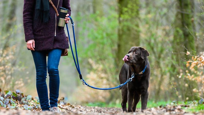 ARCHIV - 26.03.2019, Niedersachsen, Hannover: Eine Frau geht mit einem Hund an der Leine spazieren (zu dpa «Osterspaziergänge während der Brutzeit: Hunde an die Leine»). Foto: Christophe Gateau/dpa +++ dpa-Bildfunk +++