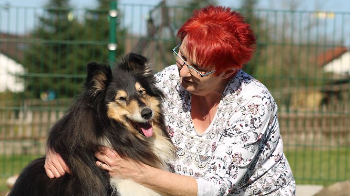 31.03.2021, Saarland, Völklingen: Emmi Lingnau aus Völklingen streichelt ihre schwarze Collie-Hündin Laika, die eine Infektion mit Babesiose (·Hundemalaria·) durch einen Zeckenbiss nur knapp überlebt hat. Sie brauchte mehrere Monate, um sich davon zu erholen. (zu dpa: «Auwaldzecke macht Hundebesitzern Angst») Foto: Katja Sponholz/dpa +++ dpa-Bildfunk +++
