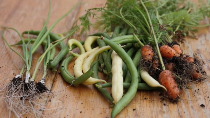 Fotolia 35964999 XS (1).jpg