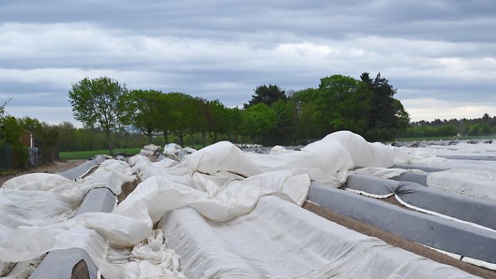 04.05.2021, Hessen, Darmstadt: Die Folien über den Dämmen eines Spargelfeldes werden bei Darmstadt-Arheilgen vom starken Wind aufgebläht. Ein Sturmtief bringt stürmisches und kühles Wetter nach Hessen. Foto: Arne Dedert/dpa +++ dpa-Bildfunk +++
