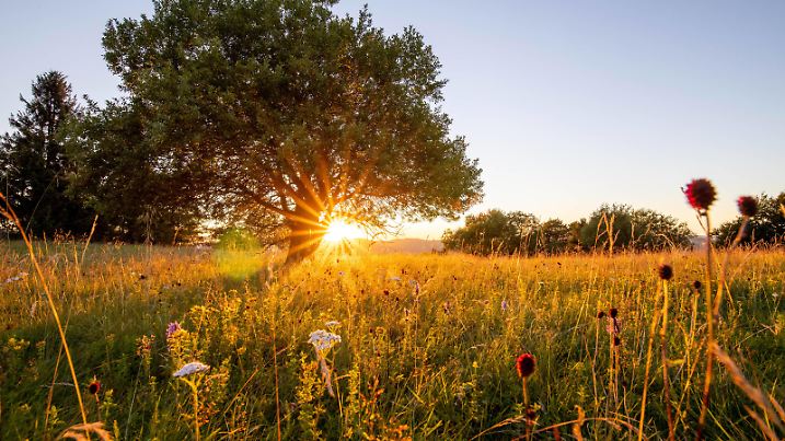  Sommerwetter in der Rhön 31.07.2020, Bischofsheim in der Rhön Bayern: Die Abendsonne scheint über die Landschaft am Gipfel des Kreuzbergs in der Rhön. Der Kreuzberg ist der dritthöchste Berg in der Rhön., Bischofsheim in der Rhön Deutschland *** Summer weather in the Rhön 31 07 2020, Bischofsheim in the Rhön Bavaria The evening sun shines over the landscape at the summit of the Kreuzberg in the Rhön The Kreuzberg is the third highest mountain in the Rhön, Bischofsheim in the Rhön Germany