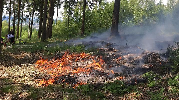 Waldbrand