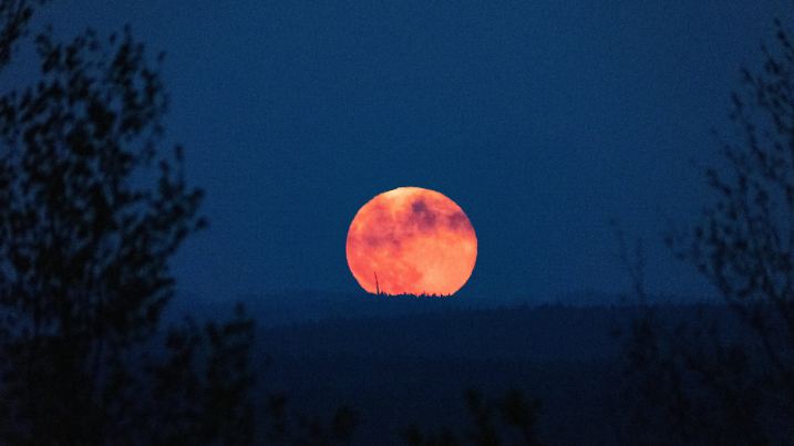 Full moon, flower moon of May 2021 rising over the Eifel mountains. In Aachen Oberforstbach on May 26. 2021 GERMANY - AACHEN - MOON 