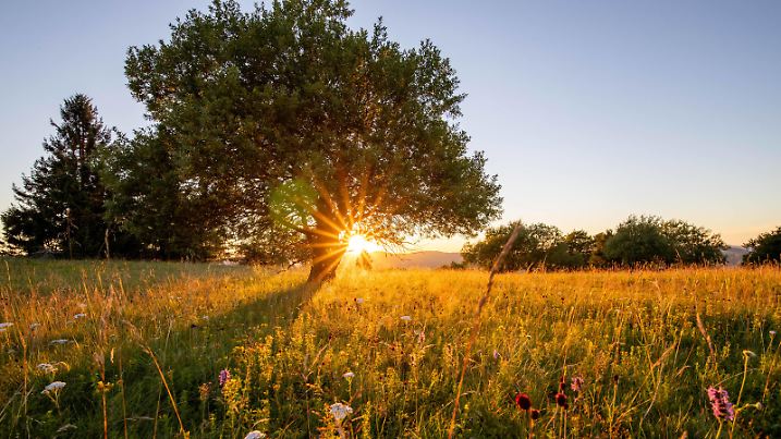 Sommerwetter in der Rhön 31.07.2020, Bischofsheim in der Rhön Bayern: Die Abendsonne scheint über die Landschaft am Gipfel des Kreuzbergs in der Rhön. Der Kreuzberg ist der dritthöchste Berg in der Rhön., Bischofsheim in der Rhön Deutschland *** Summer weather in the Rhön 31 07 2020, Bischofsheim in the Rhön Bavaria The evening sun shines over the landscape at the summit of the Kreuzberg in the Rhön The Kreuzberg is the third highest mountain in the Rhön, Bischofsheim in the Rhön Germany 