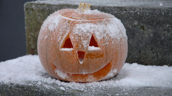 Pumpkin