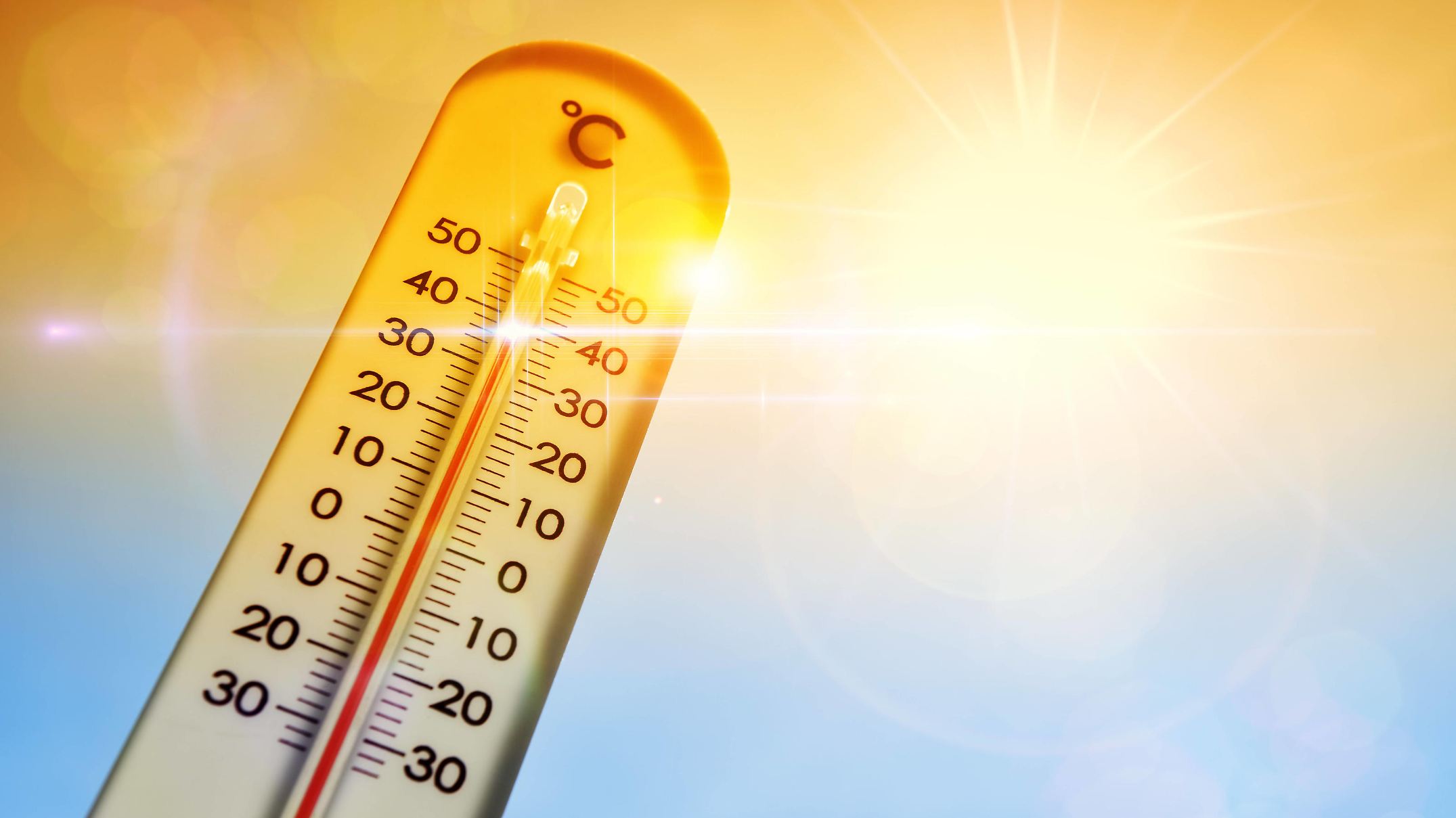 das wetter in neustadt in holstein