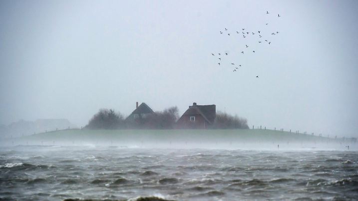 ARCHIV - Häuser sind am 05.12.2013 während «landunter» auf der nordfriesischen Hallig Langeneß (Schleswig-Holstein) in der Nordsee zu sehen. Bei Sturmflut an der Nordsee sind die Halligen am meisten gefährdet. Hooges Bürgermeister hat eine bessere medizinische Notfallversorgung der Halligen gefordert.Denn während auf den Inseln und dem schleswig-holsteinischen Festland nach spätestens zwölf Minuten der Rettungswagen vor Ort sein sollte, kann ärztliche Hilfe im Wattenmeer länger auf sich warten lassen - vor allem, wenn das Wetter schlecht ist. Foto: Maja Hitij/dpa (zu dpa «Notruf Halligkante: Wie die Warften um ihren Rettungsdienst kämpfen» vom 14.04.2016) +++(c) dpa - Bildfunk+++