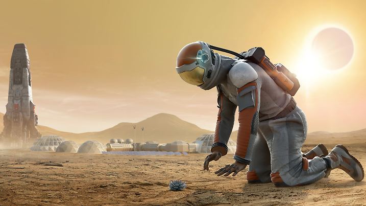 An astronaut on planet Mars wearing a generic astronaut suit with helmet and backpack kneeling on the ground and looking at a succulent plant growing from the dusty, rocky terrain. A rocket and Mars base camp are in the background. There is a solar eclipse taking place.