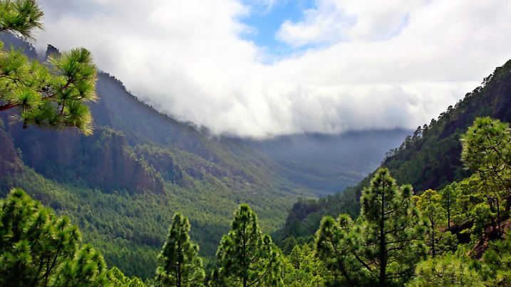 Blick vom Aussichtpunkt La Cumbrecita nach Sueden zur Cumbre Vieja, Kanaren, La Palma, El Paso | view from gazebo La Cumbrecita in south direction to Cumbre Vieja, Canary Islands, La Palma, El Paso