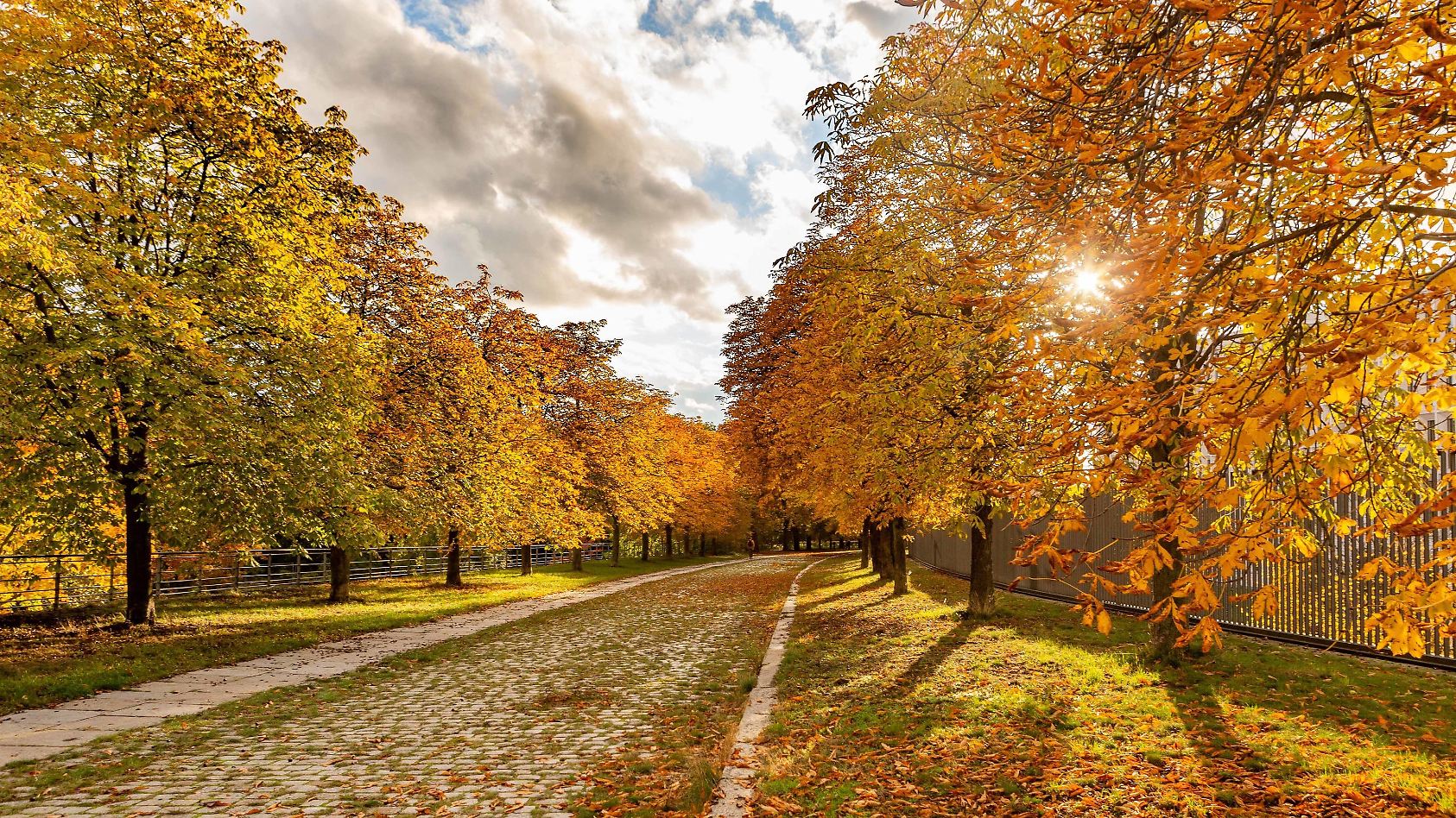 Herbst Phanomen Ratsel
