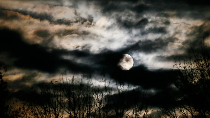 The 2016 Hunter's Supermoon rises in Bloomington, Indiana.