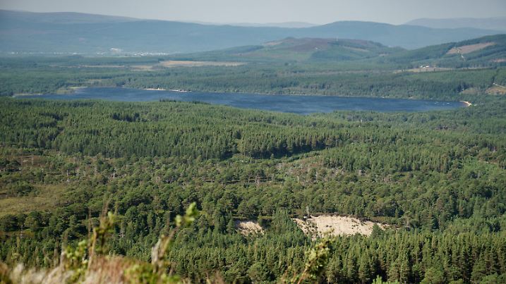 View from the Cairngorms towards Loch Morlich