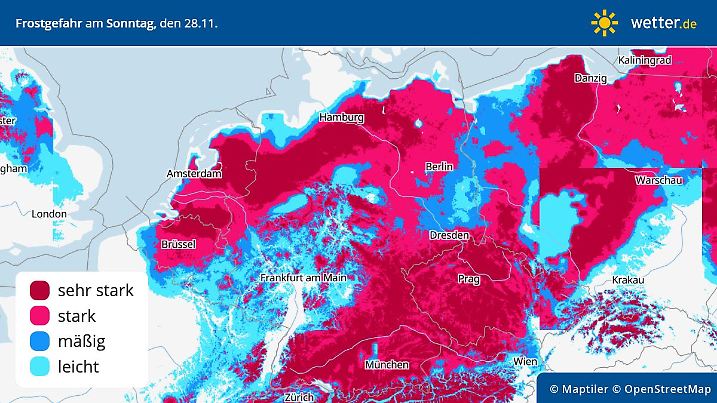 Die Graphik zeigt die Wahrscheinlichkeit für Frost am Wochenende: verbreitet wird es frühwinterlich kalt