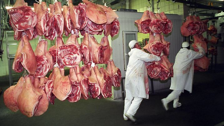  Schinken werden bewegt in der Eberswalder Wurstfabrik