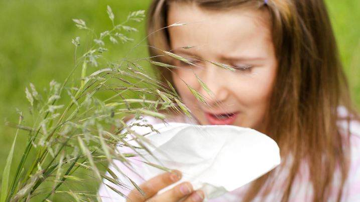 Die typischsten Heuschnupfen-Beschwerden sind juckende tränende Augen, Niesreiz, eine laufende Nase, erschwerte Atmung – oft ausgelöst durch die Pollen von Gräsern und Birke.