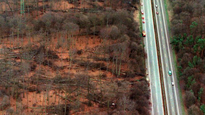 ARCHIV - 01.03.1990, Hessen, Frankfurt/Main: Blick auf einen schwer geschädigten Wald in Hessen, aufgenommen am 1. März 1990. Der Orkan "Wiebke" entwurzelte unzählige Bäume, etliche Straßen mussten am Morgen von Sturmschäden geräumt werden.  (zu dpa - 30 Jahre Orkan «Wiebke» - Immense Waldschäden und Waldwende) Foto: Kai-Uwe Wärner/dpa +++ dpa-Bildfunk +++