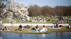 Frühling in München Bei 20 Grad füllt sich am 28.3.2022 der Englische Garten in München. Viele Menschen genießen die warme Sonne im Park. - With temperatures over 20 degrees Celsius people fill the English Garten in Munich, Germany and they enjoy the sun. München Bayern Deutschland Copyright: xwww.AlexanderPohl.photographyxxx 