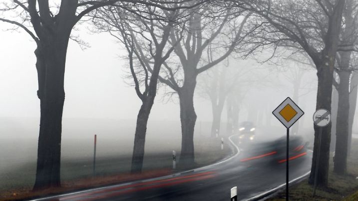 Autos fahren am Montag (14.03.2011) bei starkem Nebel durch eine Allee bei Redentin (Nordwestmecklenburg). Nach dem sonnigen Wochenende zeigt sich der März mit Nebel und Nieselregen in Norddeutschland von seiner unfreundlicheren Seite. Foto: Jens Büttner dpa/lmv +++(c) dpa - Bildfunk+++