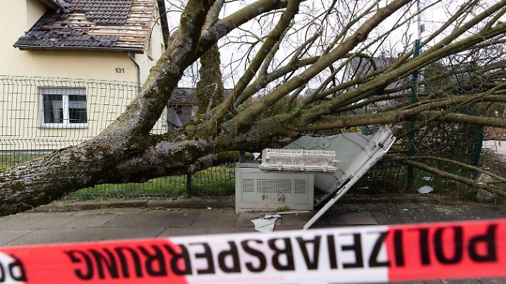 19.02.2022, Nordrhein-Westfalen, Bielefeld: Ein vom Sturm umgerissener Baum ist auf einen Stromkasten gefallen und hat diesen komplett zerstört. Sturmtief «Zeynep» war teils mit Orkanstärke über Teile Deutschlands gezogen. Behörden mahnen weiter zur Vorsicht. Das Dach des Hauses im Hintergrund war bereits vor dem Sturm teilweise abgedeckt. Foto: Friso Gentsch/dpa +++ dpa-Bildfunk +++